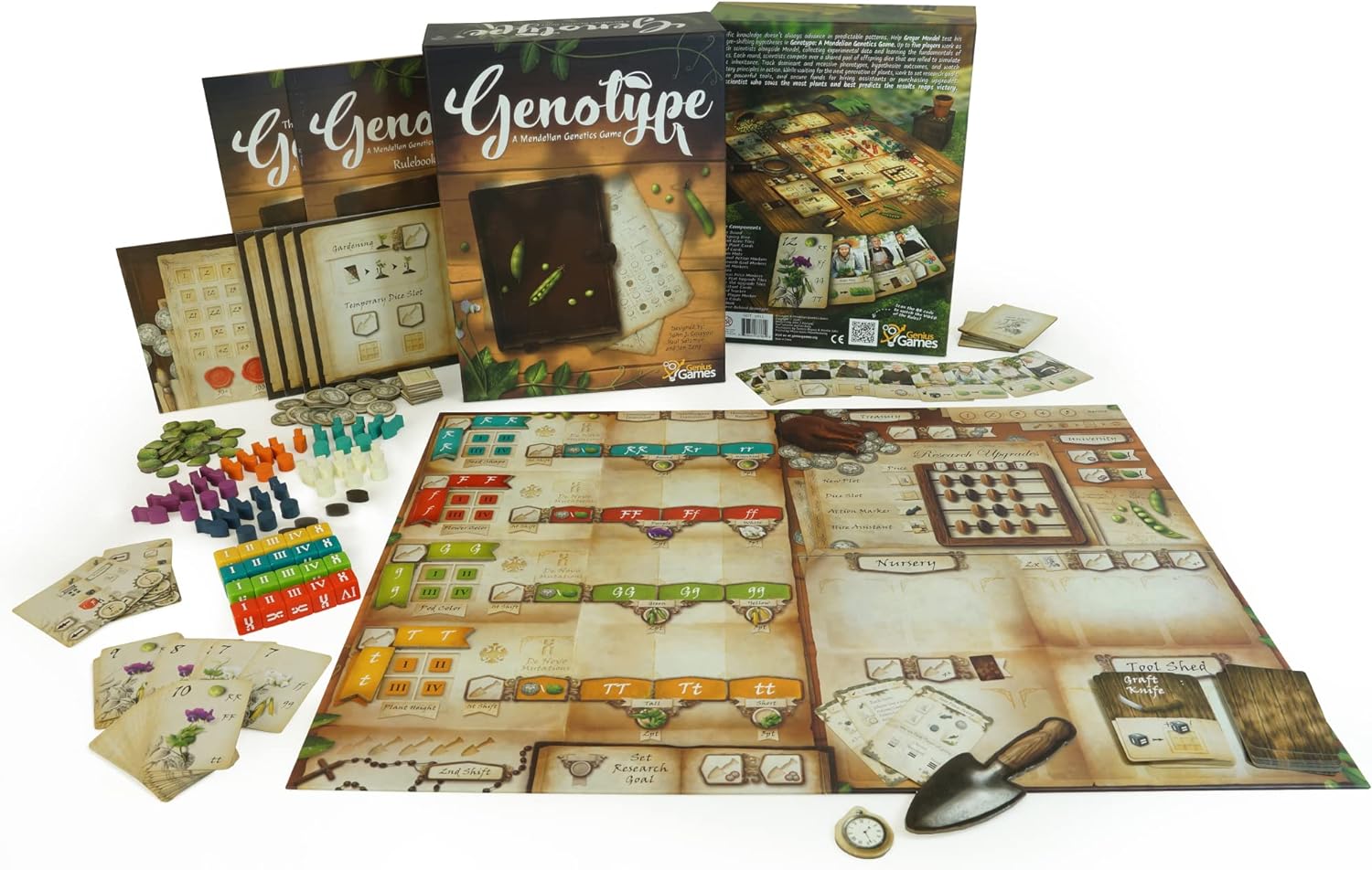 Genotype (Inglés) - Imagen 2